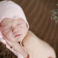 charlotte_web-10