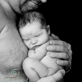 charlotte_web-2