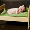 charlotte_web-5