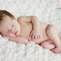 charlotte_web-7