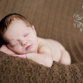charlotte_web-8