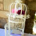 A Wedding at the Club at Flying Horse: Lindsey & Wayne