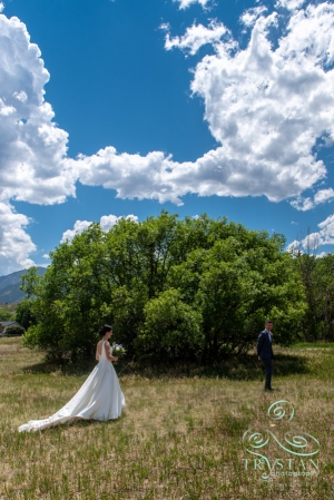 Hillside Gardens Wedding 2018