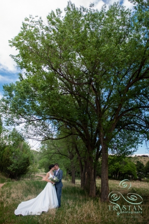 Hillside Gardens Wedding 2018