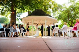 A Wedding at the Briarhurst Manor